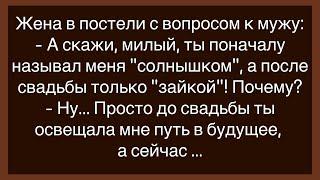 Как Клиент в Ателье Просил Ему Ослабит! Сборник Свежих И Смешных Анекдотов! Юмор! Позитив!