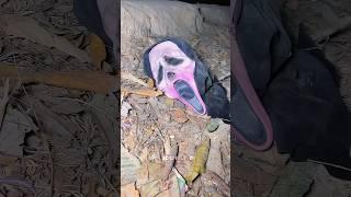 POV: When Sigma Boy Cut Ghost’s Neck ️ | Hanuman | #ghost #bhoot #comedy  #hanumanji #trending