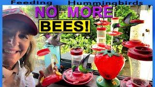 KEEPING Bees Off Hummingbird Feeder  BE AWARE of Bee Proof Issues Before YOU Buy  EASY to Clean