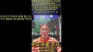 백련화보살님의 라이브 방송