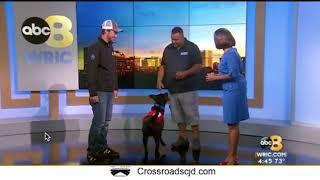 Sit Means Sit Dog Training - Richmond In the News