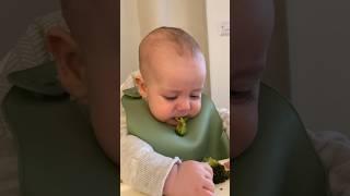 Does baby Ember like broccoli- yes or no ? #babyboy #funny