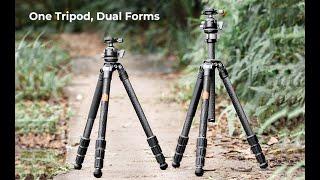 K&F Concept Heavy Duty Carbon Fiber Camera Tripod 55lbs/25kg Load Capacity with 40mm Metal Ball Head