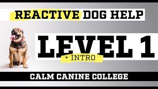 Reactivity Training for Dogs - LEVEL 1 | Calm Canine College - Start Training at Home Today.