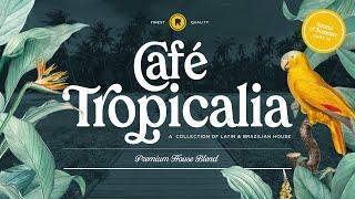 Latin Brazilian House Mix | Café Tropicalia House Mix Pt. 10