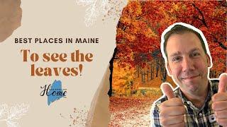 Best places to see leaves in Maine