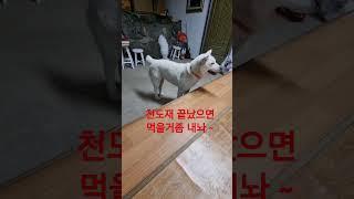 소원성취 기도도량 천불암 태극도령 전화상담 ~010 3135 3694