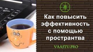 Васту ТВ #25. Как повысить свою эффективность с помощью своей квартиры