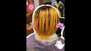 JJHAIRSALON  Ari 2024二次元髮色｜寶藍色 ｜藍綠色