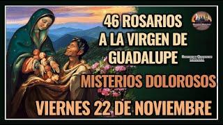 46 ROSARIOS A LA VIRGEN DE GUADALUPE: MISTERIOS DOLOROSOS - GUADALUPANO / VIERNES 22 NOVIEMBRE 2024.