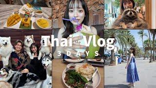 【タイVlog】タイ料理と動物に癒された夏の思い出️