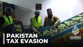 Pakistan targets tax evasion: Government looks to stabilize struggling economy