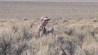 #4 Buckshot Varmint Express® Product Overview from Hornady®