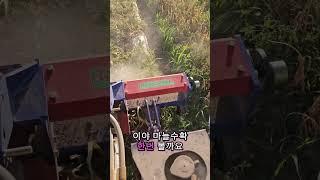 마늘수확작업.트랙터야 빨리가자!