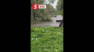 Freak hailstorm hits Shah Alam, fallen trees cause traffic disruptions