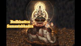  Bodhisattva Samantabhadra Mantra | Namo Puxian Pusa | Wisdom Mind Of Samantabhadra