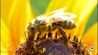 Partnerschaft im Sinne der Nachhaltigkeit: Handelsunternehmen Müller und beefuture