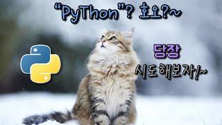 파이선(Python) [v6.0] 프로젝트2_part1 {코딩빈의 쉬운 '파이썬'}