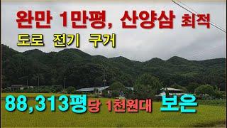 보은  88,313평,  완만한 1만평,  산양삼 최적지, 전기도로접한 충북임야, 귀산촌 대형임야