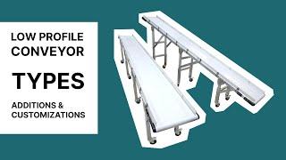 Low Profile Conveyor Types + Customizations - Royal Conveyor Solutions