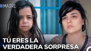 Quisiera Abrazar Su Dolor y Tomarlo Para Mí - Madre