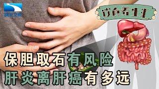 胆结石与肝癌的成因,保胆取石有高复发风险,肝炎离肝癌有多远【饮食养生汇】