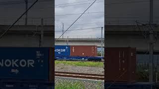 약목발 부산진행 3063화물 #train #기차 #railway #통과영상 #화물열차
