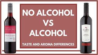 ALCOHOL VS NO ALCOHOL IN WINE - What are the taste and aroma differences?