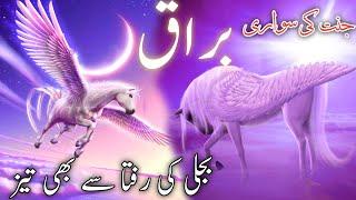 Ride to Heaven Buraq | buraq ki raftar kitni thi | shab e meeraj | story of buraq | #islam #buraq