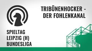 Zu wenig Ertrag in hochklassiger Partie #BMGRBL 1:2 | TRIBÜNENHOCKER