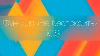 Функция "Не беспокоить" в iOS