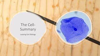 Biology Bugbears- Cell Structure 2024-Leaving Cert Biology