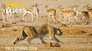 SURVIVAL ON THE SAVANNAH | Speed Determines Survival | Animal documentary