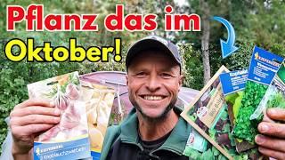 Aussaat im Oktoberdie 9 BESTEN  Gemüse, die Du NICHT verpassen darfst!