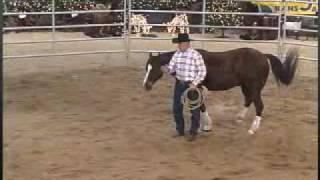 Round Pen Basics: Control