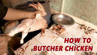 HOW TO BUTCHER CHICKEN AND PROCESS CHICKEN | Halal way to Butcher & Clean Chicken