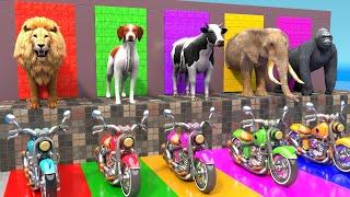 Long Slide Game With Cow Elephant Gorilla Lion Hippopotamus - 3d Animal Game - Fountain crossing