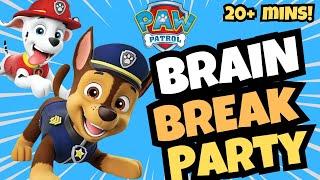 Paw Patrol Brain Break Party | Brain Breaks for Kids | Freeze Dance | Danny Go