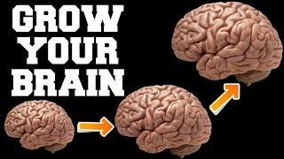 FAST BRAIN GROWTH SOUNDS : CENTURIES OLD SECRET OF INDIAN SAGES : RESULTS IN 1 WEEK !