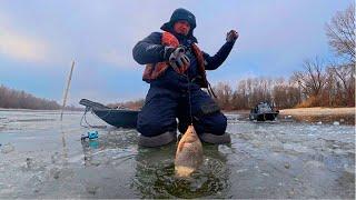 ВІДРО риби за 1 годину! ЗОЛОТА лунка роздає КАРАСІВ! Зимова РИБАЛКА з криги! МЕГА Кльов РИБИ!