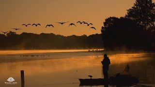 Early Morning at the Lake  with Ducks and Crickets  10 Hour Nature Sound