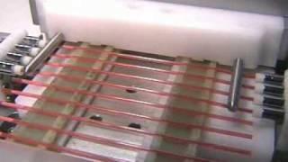 IMV Technologies - IS 4 - Filling, sealing and printing equipment for straws -