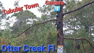 Good Ol Otter Creek Fl. Tubular Town Camera Is Back Up!