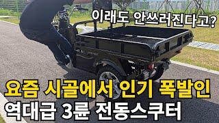 절대 넘어지지 않는 트럭형 전동스쿠터 리뷰 2024 최신형 전기스쿠터 추천 안전한 수송용 3륜 미니트럭 어르신 전동차