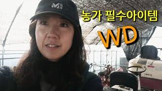 [동절기필수아이템 WD] 양구스패너, 복스렌치 어려워