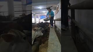 Gua seva param dhan #youtube #youtuber