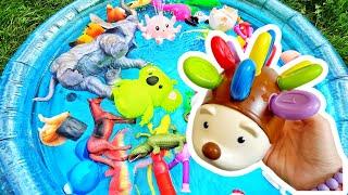 Learn Animal Names with Toys & Octopus Fountain Flamingo Cat Crocodile