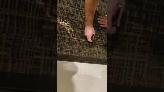 Dye Pro Bleach Spot Repair in Atlantic City Hotel Casino 2