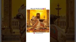 All beautiful things start with "N"  ll #shortsfeed #youtubeshorts #nandi #shorts #trendingshorts
