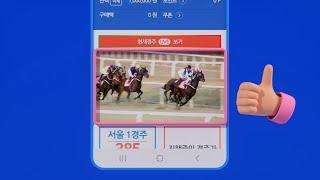 (온라인 경마 매뉴얼) 손쉽게 온라인 경마 즐기는 방법! 